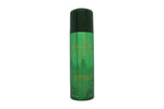 Pino Silvestre Original Deodorant Spray 200ml -  QH Clothing