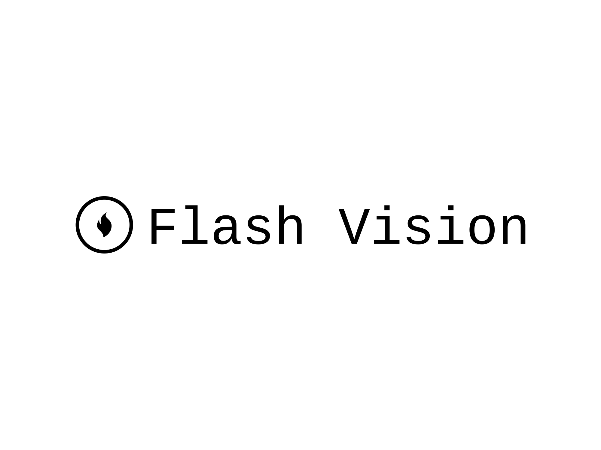 Flash Vision