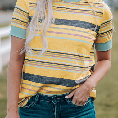 Multicolor Stripes Crew Neck T Shirt