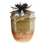 Bali Mantra Hibiscus Glass Copper Candle 500g - Redcurrant - Quality Home Clothing| Beauty