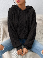Fall Winter Women Pullover Sweater Flannel Hooded Loose Plush Jacket - Quality Home Clothing| Beauty