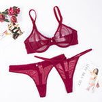 Thin Mesh Bra Set