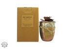 Bali Mantra Camellia Glass Copper Candle 500g - Redcurrant - Shower & Body Care