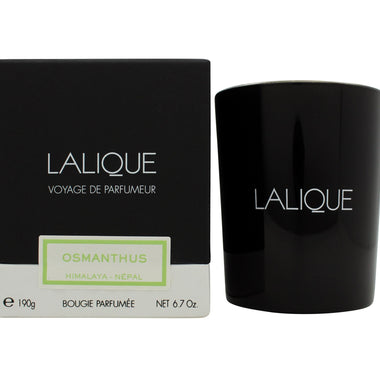 Lalique Candle 190g - Osmanthus Himalaya - Shower & Body Care