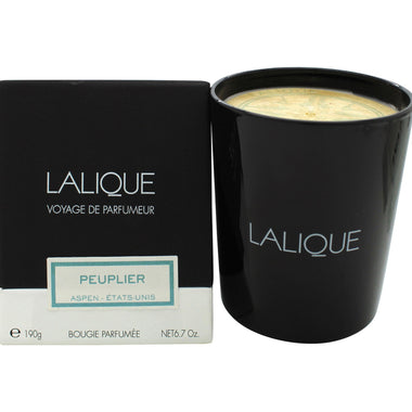 Lalique Candle 190g - Peuplier Aspen - Shower & Body Care