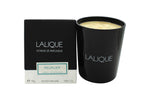 Lalique Candle 190g - Peuplier Aspen - Shower & Body Care