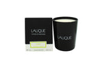 Lalique Candle 190g - Yuzu Shikokou - Shower & Body Care