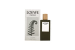 Loewe Esencia Eau de Toilette 100ml Spray - Fragrance