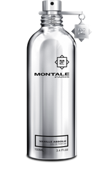 Montale Vanille Absolu Eau de Parfum 100ml Spray - QH Clothing