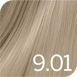 Revlon Revlonissimo Colorsmetique 60ml - 9.01 Very Light Natural Ash Blonde - Hair Care