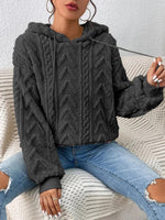 Fall Winter Women Pullover Sweater Flannel Hooded Loose Plush Jacket - Quality Home Clothing| Beauty