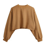 Fleece Lined Crop Sports Sweater - QH Clothing