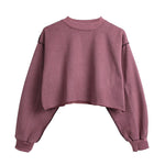 Fleece Lined Crop Sports Sweater - QH Clothing