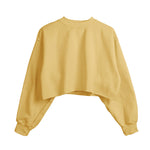 Fleece Lined Crop Sports Sweater - QH Clothing