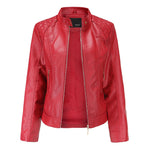 Graceful Stand Collar Faux Leather Jacket - QH Clothing