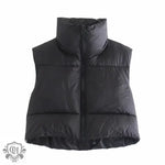 Stand Collar Zip Vest - S / Black - Clothing