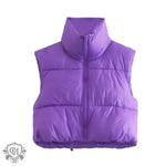 Stand Collar Zip Vest - S / Purple - Clothing